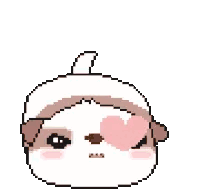 kalpli puppy